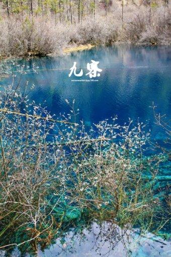悟空除魔